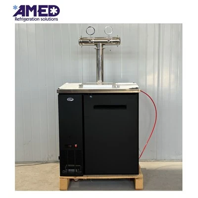 Mini Dual Tap Beer Kegerator chladnička